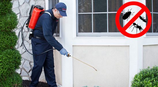 Talas Hamam Böceği İlaçlama böcek ilaçlama ve haşere kontrolü — ilaclama-tr.com